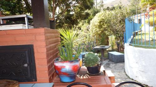 設施, Casa Agradável com piscina. (Casa Agradavel com piscina.) in 帕迪杜阿爾菲雷斯