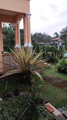 Wildan Homestay