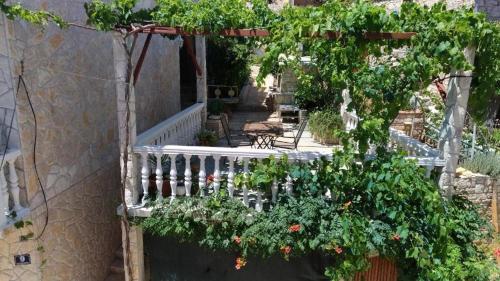 Apartments by the sea Vis - 15926 - image 6