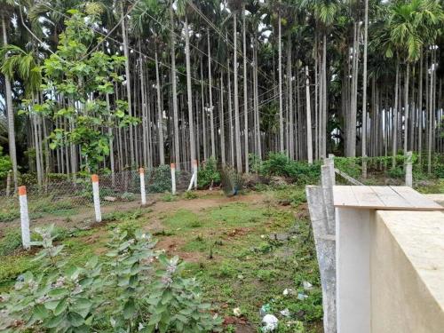 SHI's Bhairavi Peaceful 2bhk villa - - On the way 2 isha-Adiyogi  Maruthamalai - image 2