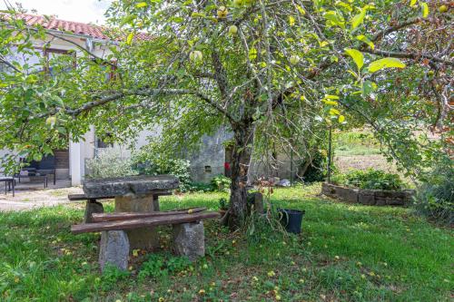 Apartments with parking space Buzet, Central Istria - Sredisnja Istra - 17333, Buzet