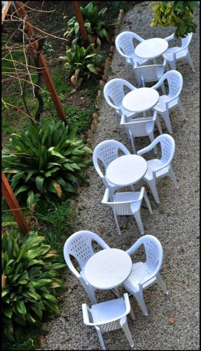 Hotel Lodi - image 14