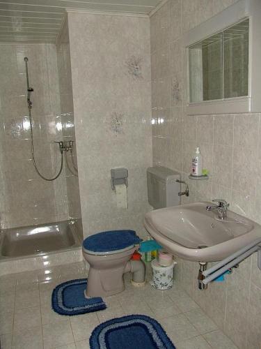 浴室, FELBER Huttn in 帕特爾加森