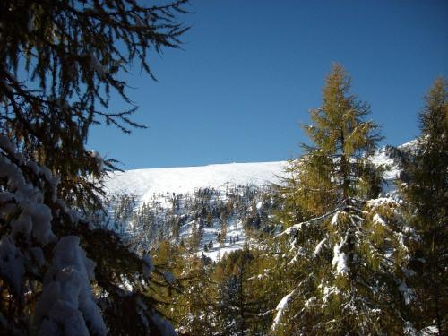 周邊環境, FELBER Huttn in 帕特爾加森