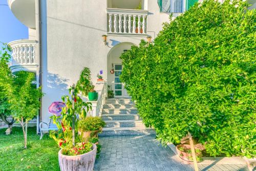 Apartment - Split Level image 2