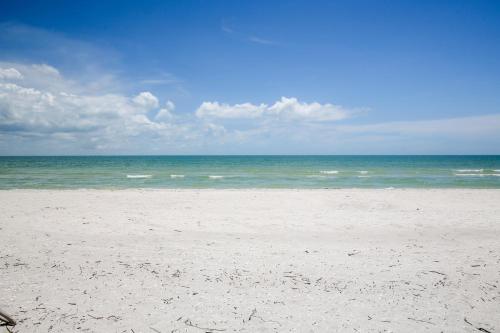 Sanddollar #B302 - image 11