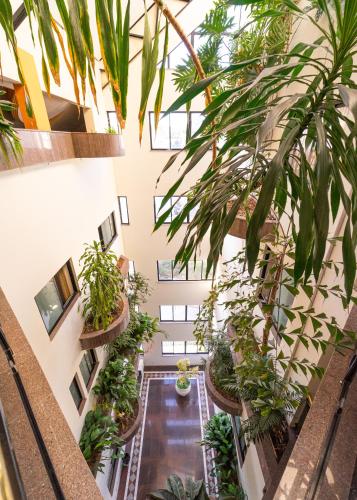 Condall Palace Hotel