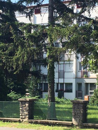 ทัศนียภาพภายนอกโรงแรม, Studio Florens in จอซเซฟ อัตติลา ฃาโกเตเลป