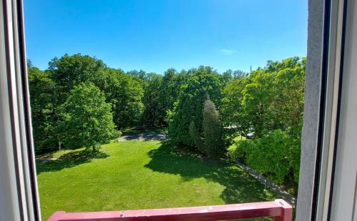 สวน, Studio Florens in จอซเซฟ อัตติลา ฃาโกเตเลป