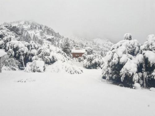 Cosmo in Lago Gutierrez