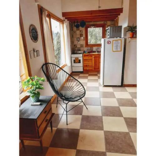 Cosmo in Lago Gutierrez