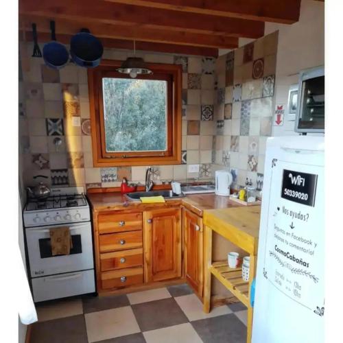 Cosmo in Lago Gutierrez