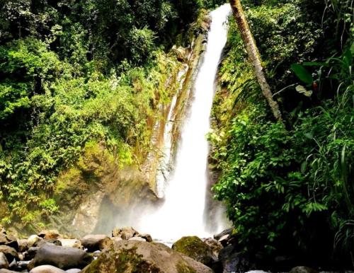 Hotel Wagelia Turrialba