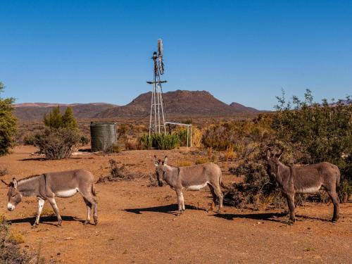 Rooilande Guest Farm