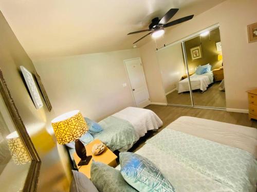 Best Deal and Epic Location 2bd 2BA Ocean View Best Deal and Epic Location 2bd 2BA Ocean View