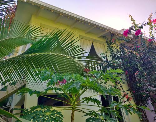 สวน, Villa Casa Azul & Arena Blanca Apartamentos in ปุเอร์โต วิเอโจ เดอ ทาลามันกา
