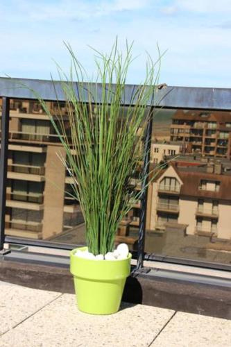 Duplex Penthouse Plaza - image 2