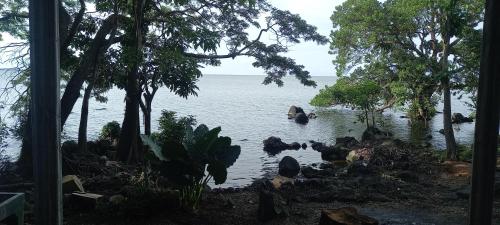 Rocks Beach in 巴尔盖
