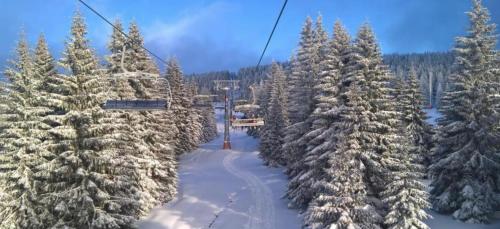 KATARINA - Lux two bedroom apartment in ski resort Kopaonik - image 4