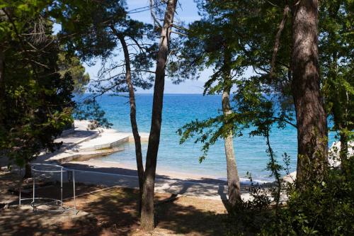 Apartments by the sea Malinska (Krk) - 5290