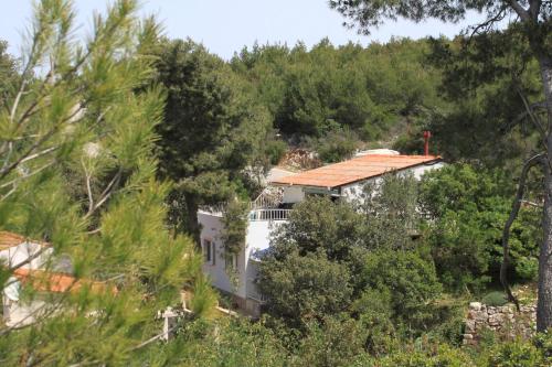  Apartments by the sea Cove Zastupac, Hvar - 8719 in Brusje