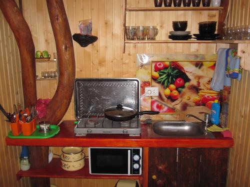 Teremok in Mykulychyn