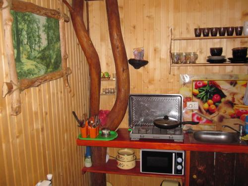 Teremok in Mykulychyn