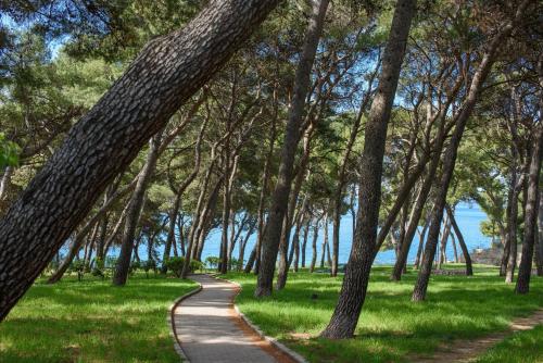 Apartments and rooms by the sea Split - 15298 - image 7