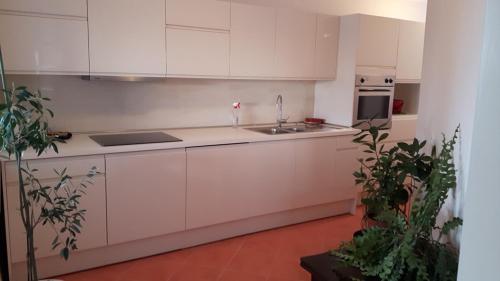 virtuve, Apartments with a parking space Zagreb - 15343 in Bosiljevo