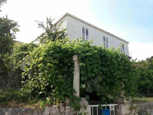 Apartments by the sea Hvar - 15401 - image 2