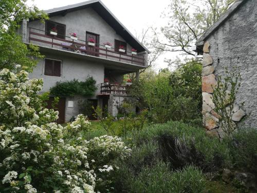  Family friendly house with a parking space Kijevo, Zagora - 15414 in Kijevo