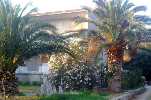  Apartments with a parking space Banjol, Rab - 15463 in Rab