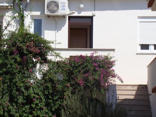  Apartments with a parking space Povljana, Pag - 15532 in Povljana