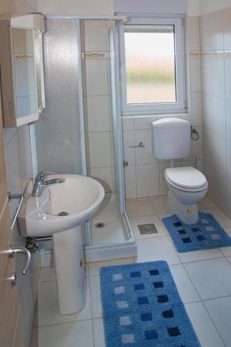 Family friendly apartments with a swimming pool Vinkuran Pula - 15736 - image 7