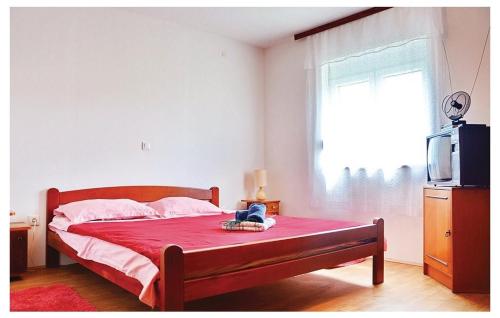 Family friendly house with a swimming pool Posedarje Novigrad - 15785 - image 3