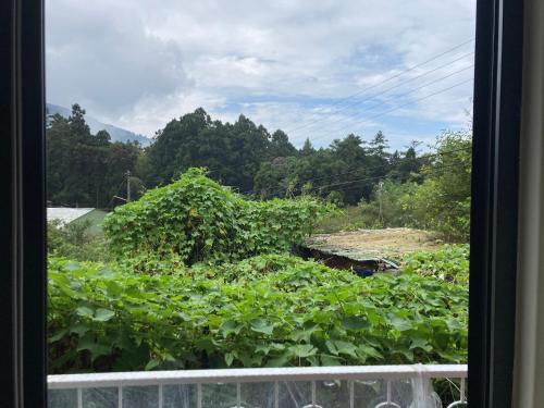 老老街 誠君民宿 in 竹崎郷（ヂューチー）