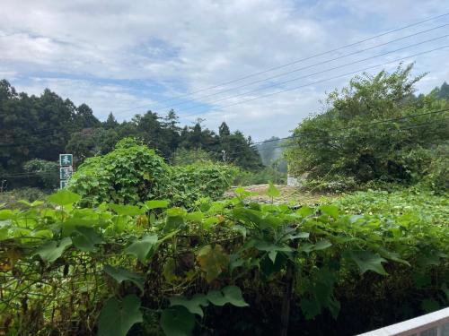 老老街 誠君民宿 in 竹崎郷（ヂューチー）