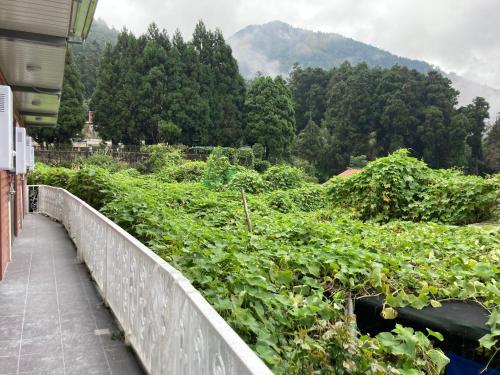 老老街 誠君民宿 in 竹崎郷（ヂューチー）