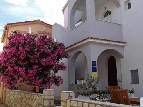 Apartments by the sea Pag - 16100 - Location saisonnière - Pag