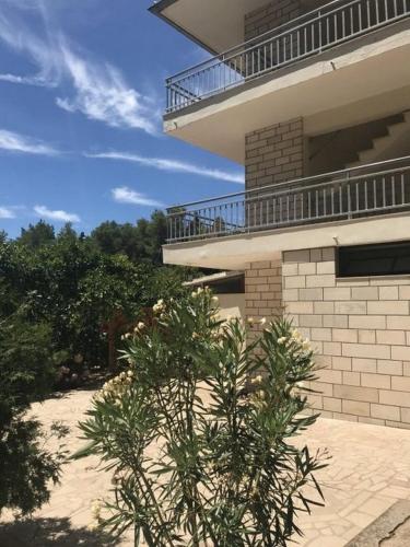  Family friendly seaside apartments Stari Grad, Hvar - 16281 in Stari Grad