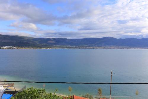 Apartments by the sea Arbanija Ciovo - 15595 - image 4