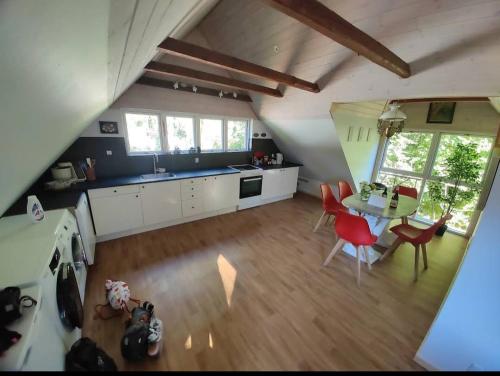 Kitchen, The parrot hotel, live in a rescue animal park in Tappernoje
