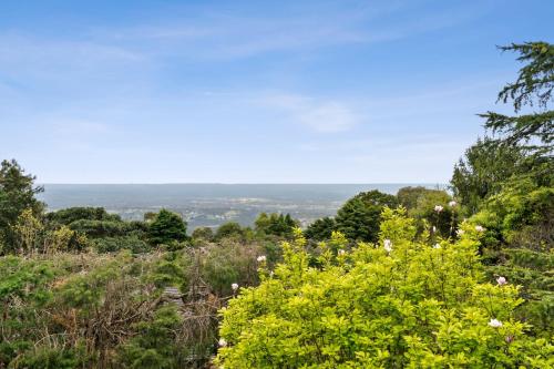 Bells Rest with a view