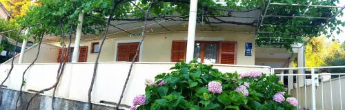 Apartments by the sea Slano Dubrovnik - 15787 - image 6