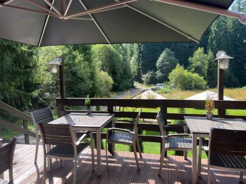 Penzion U Zlatého srnce (Penzion U Zlateho srnce) in 簡妮