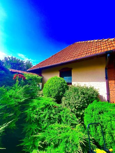 康普勒克斯巴豪斯酒店 康普勒克斯巴豪斯酒店