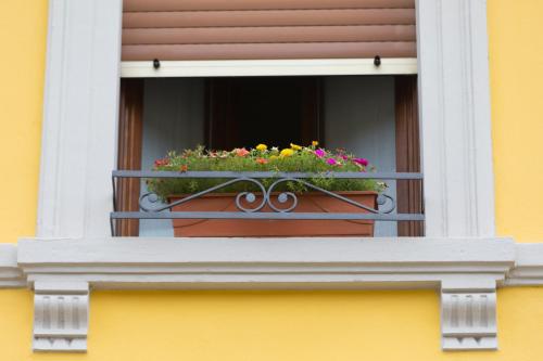 A casa di Anna, elegant flat in Cremona