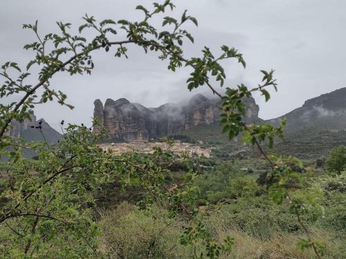 El Desván del Campanero apartamento con jardín