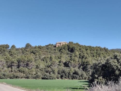 El Desván del Campanero apartamento con jardín