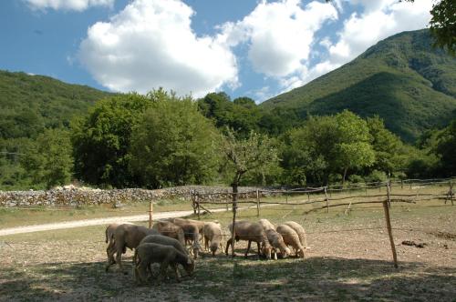 Agriturismo Miralago